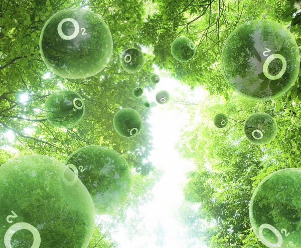 家用制氧机生成的氧气